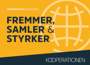 Årsberetning Nyest 300 X 219 Px 