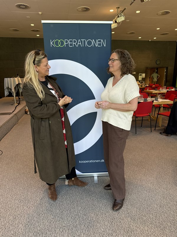IMG 8146